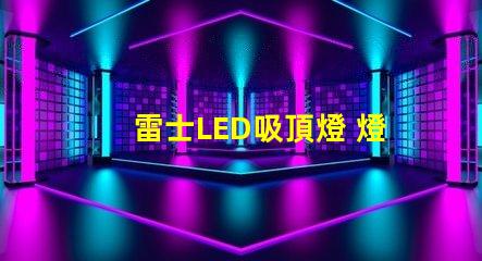 雷士LED吸頂燈 燈珠條